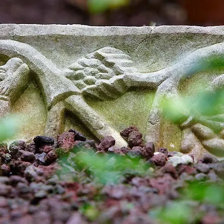 Ca' Angeli Венеция